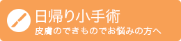 日帰り小手術 皮膚のできものでお悩みの方へ